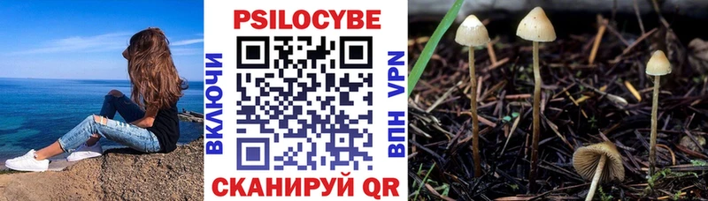 Купить  Енисейск  Псилоцибиновые грибы MAGIC MUSHROOMS 